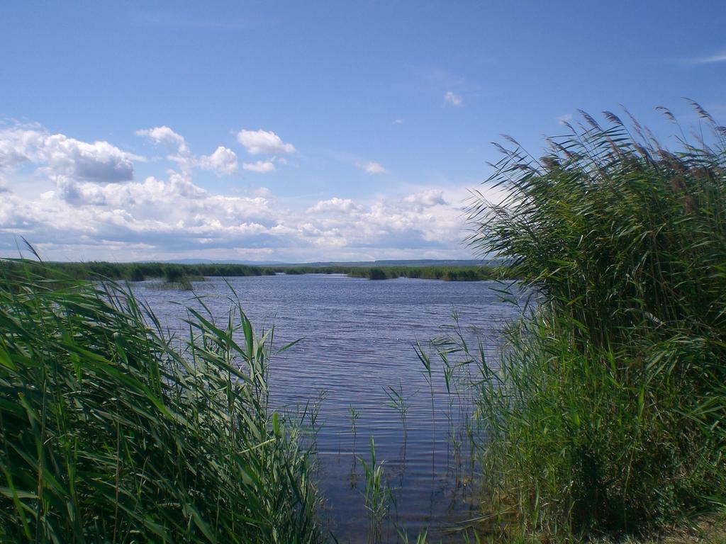 Ferienwohnungen Feldsee Illmitz Exteriér fotografie