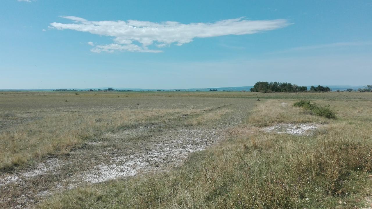 Ferienwohnungen Feldsee Illmitz Exteriér fotografie