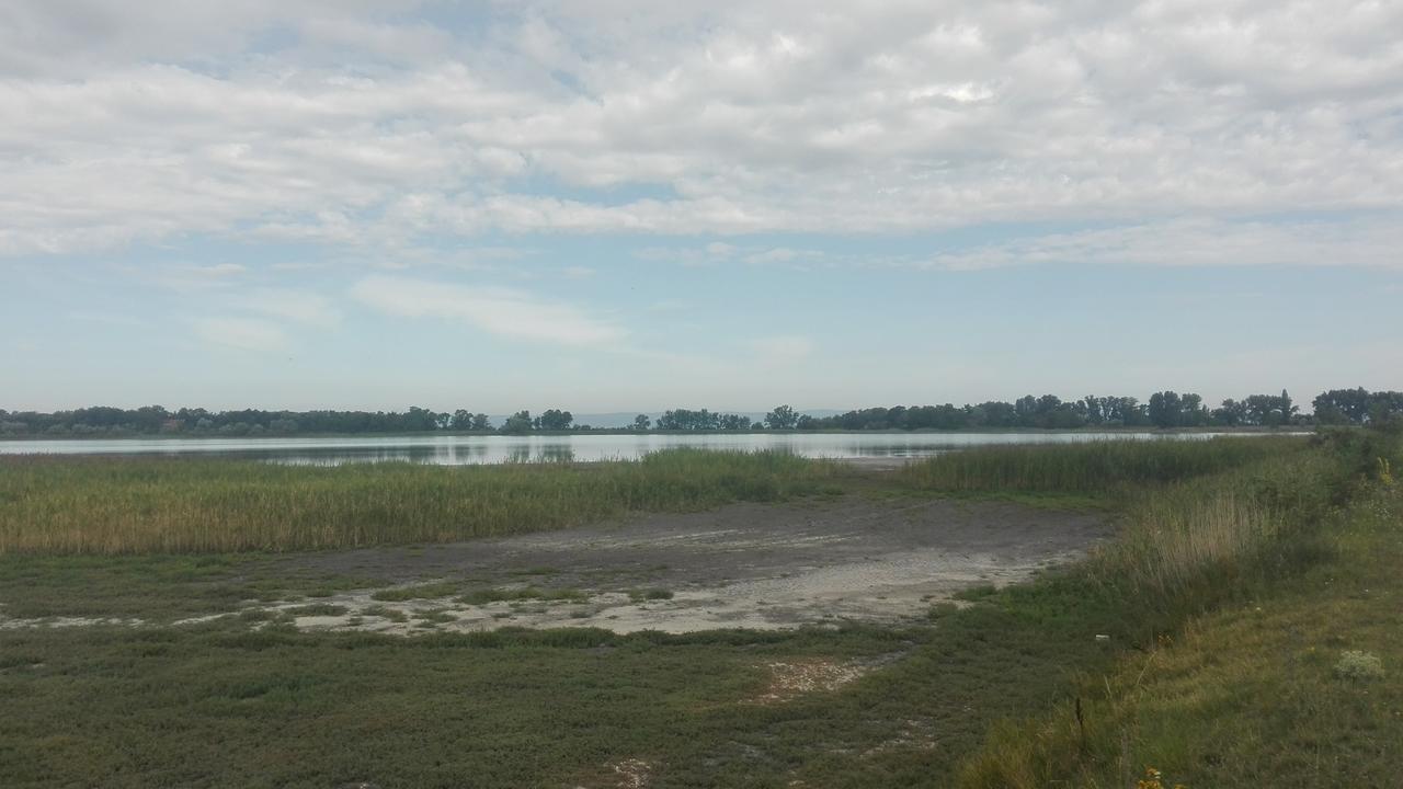 Ferienwohnungen Feldsee Illmitz Exteriér fotografie